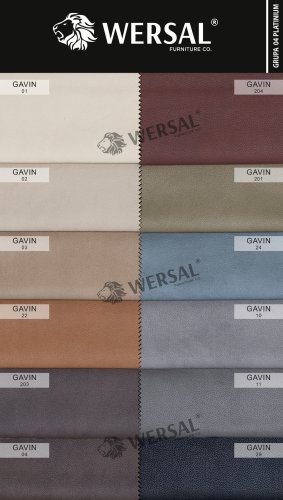 Wersal Gr.04 Platinum Gavin.jpg