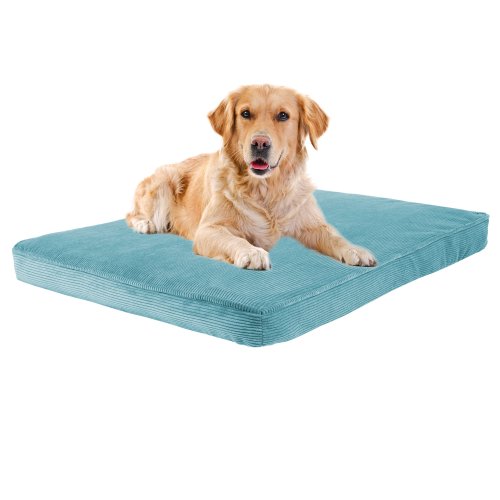 0c22ef3b6ae4d390871267437970d95e