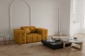 MODEST Senf