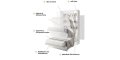 Wandklappbett Bed Concept 180x200 Vertikal Concept Lenart Bett Eiche Artisan