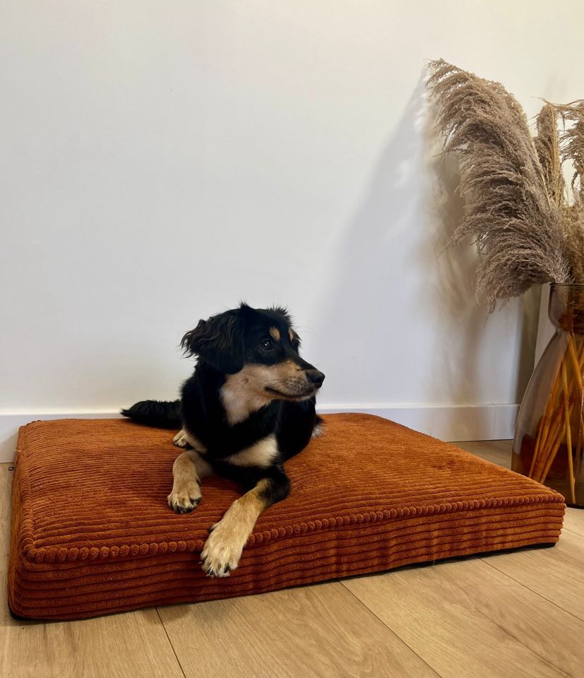 hund hundebett ziegelrot
